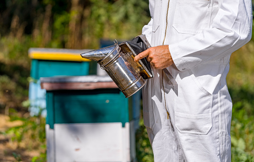 beekeeper holding smoker while standing at apiary