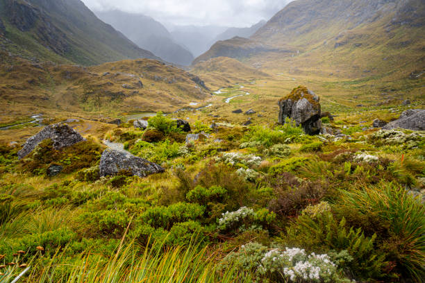 маршрут берн-вэлли, маршрутберн трек, новая зеландия - routeburn falls new zealand mountain beauty in nature стоковые фото и изображения