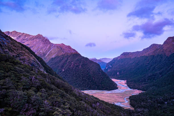 маршрут берн-вэлли, маршрутберн трек, новая зеландия - routeburn falls new zealand mountain beauty in nature стоковые фото и изображения