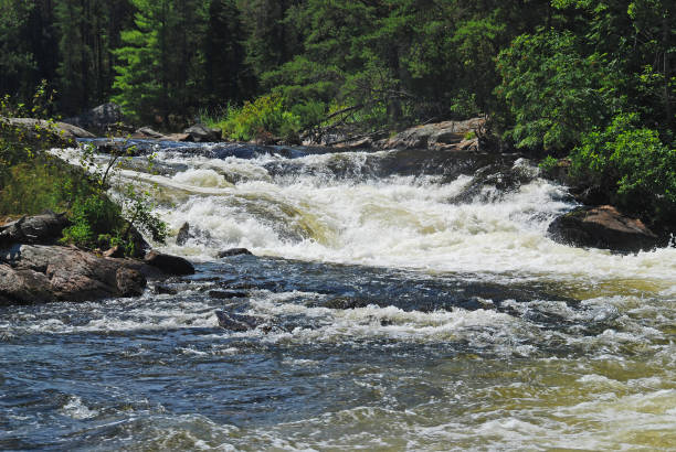 istock Rushing Waters in the Great North Woods 1303922984