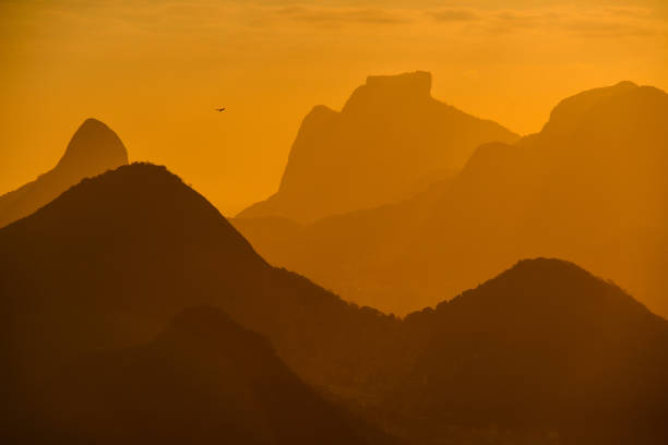 un paysage urbain naturel - gavea mountain photos et images de collection