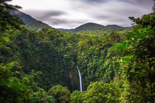 La Fortuna Waterfall in Costa Rica. The waterfall is located on the Arenal River at the base of the dormant Chato volcano. Long exposure.