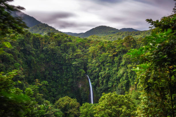 водопад ла-фортуна в коста-рике - costa rica стоковые фото и изображения