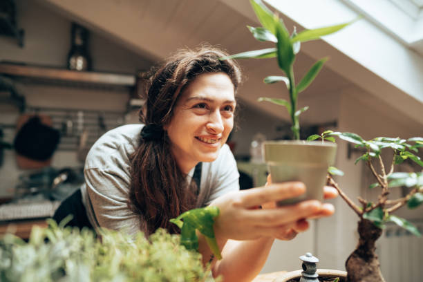 istock Woman doing home gardening at home 1303926512