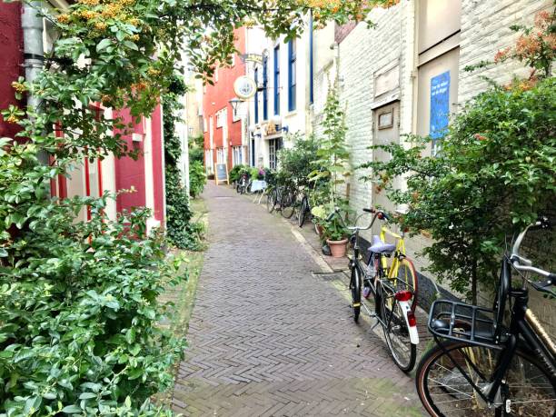 istock Beautiful green street with bicycles 1303930548