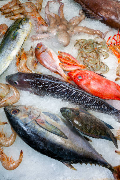 istock Seafood on ice at the fish market 1303930754