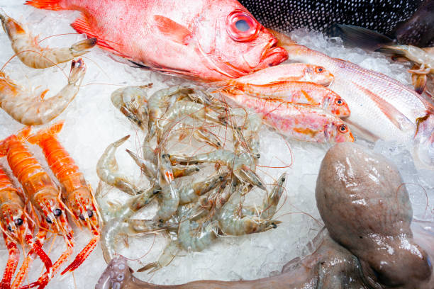 istock Seafood on ice at the fish market 1303931275