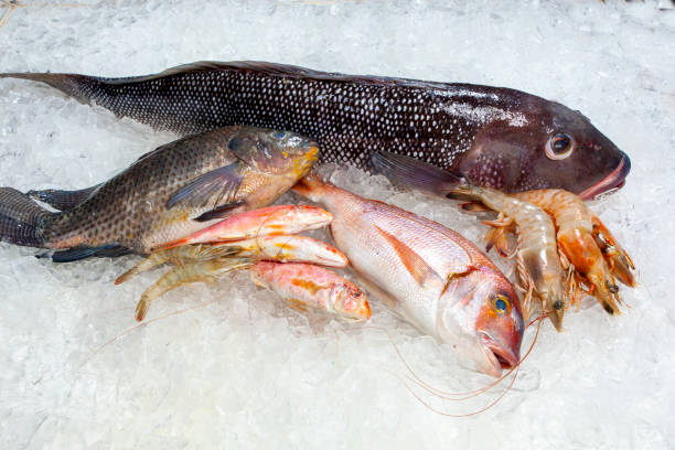 istock Seafood on ice at the fish market 1303931409
