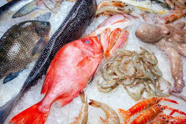 istock Seafood on ice at the fish market 1303931446