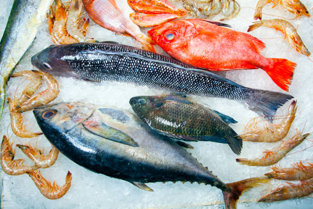istock Seafood on ice at the fish market 1303931495