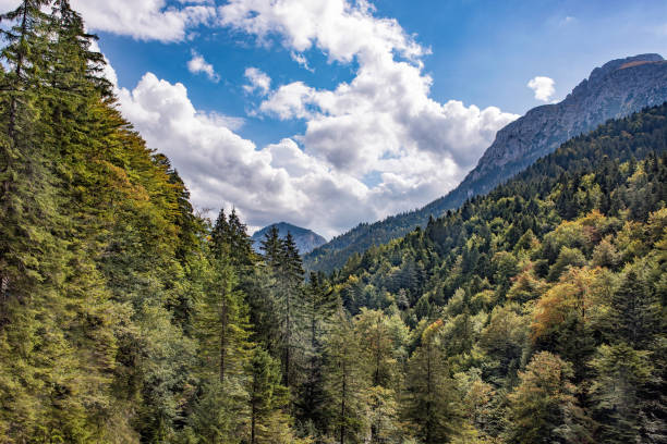 istock A great view of the high Alps mountains. 1303934190