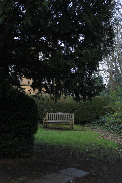 istock Sitting place in a garden 1303937136