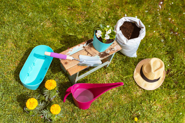 istock Gardening equipment 1303943940