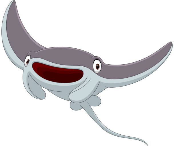 cartoon manta fisch isoliert auf weißem hintergrund - manta ray stock-grafiken, -clipart, -cartoons und -symbole