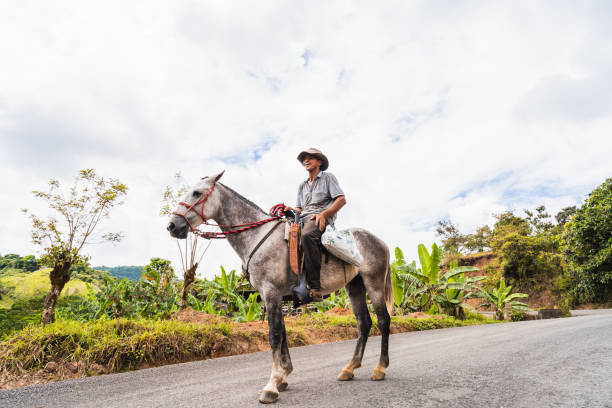 Stock photo of senior farmer riding his horse and looking at camera.
