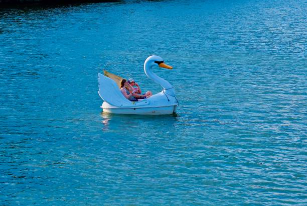 カップルはレディバードレイク、オースティン、テキサス州で白鳥のボートを楽しむ - lady bird ストックフォトと画像