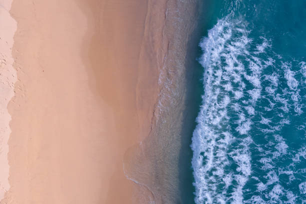 istock Beach sea summer Aerial view shot. 1303951579