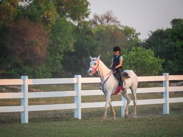 la giovane ragazza asiatica si diverte a cavallo nella fattoria, la ragazza che si allena a cavallo al ranch, cavalca un cavallo arabo di colore bianco in thailandia - horse child pony little girls foto e immagini stock