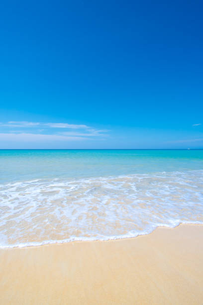 istock Nature sea summer blue sky background. 1303952378