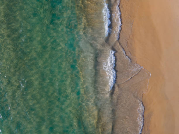 istock Aerial view top view beach sand and sea 1303953163