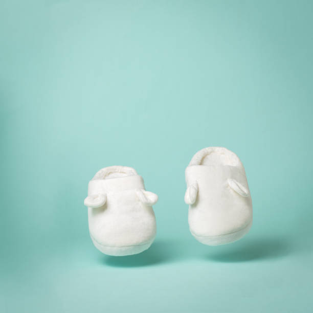 istock Hovering over the surface of the white house Slippers. 1303957592