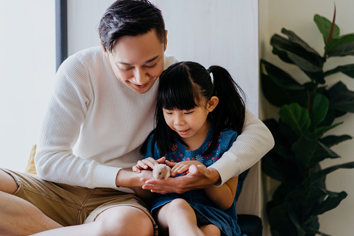 Image of a young asian girl playing with pet hamster with her father at home