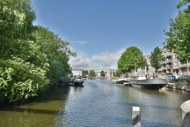 istock Residential area by the river 1303960245