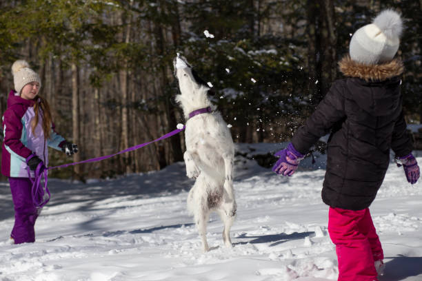 istock Two little sisters playing in snow with their puppy. 1303961195