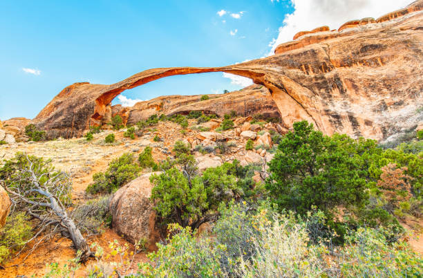 Natural bridge and window arch The Landscape Arch in the Arches National Park in Utah, United States, looks like a thin bridge and is the longest natural arch in the park which have thousands of natural red rock arches, pinnacles and giant balanced rocks. landscape arch photos stock pictures, royalty-free photos & images