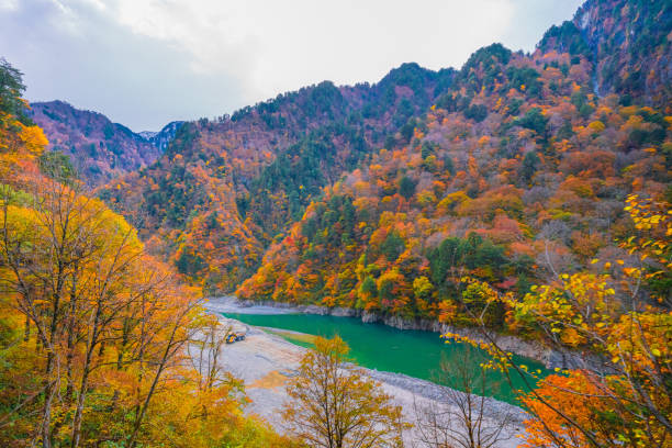 istock Autumn landscape in Kurobe gorge 1303967205