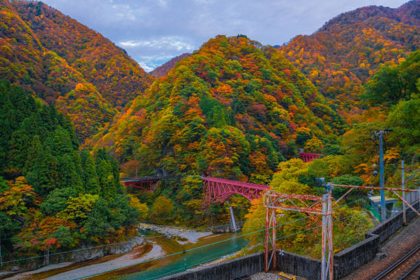 istock Autumn landscape in Kurobe gorge 1303967339