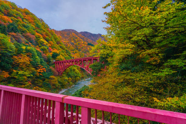 istock Autumn landscape in Kurobe gorge 1303967353