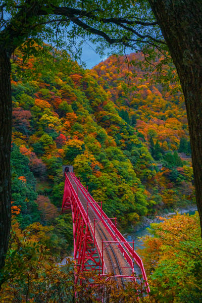istock Autumn landscape in Kurobe gorge 1303967373