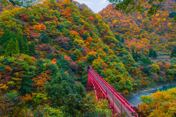 istock Autumn landscape in Kurobe gorge 1303967390
