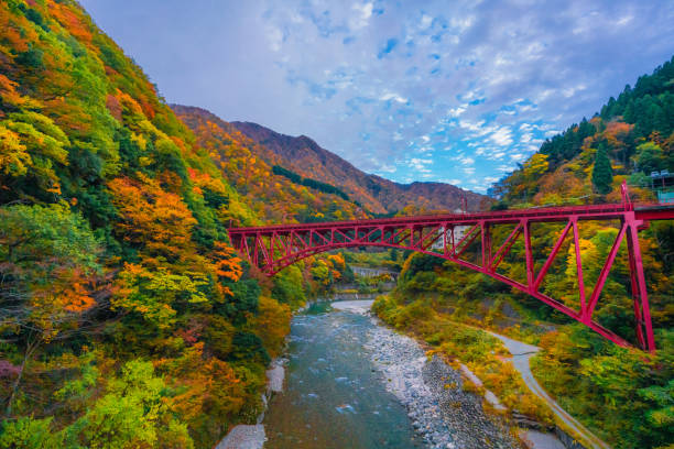 horizontal d’automne dans la gorge de kurobe - japanese maple leaf water japan photos et images de collection