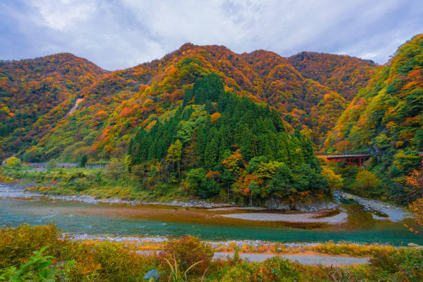 istock Autumn landscape in Kurobe gorge 1303967443