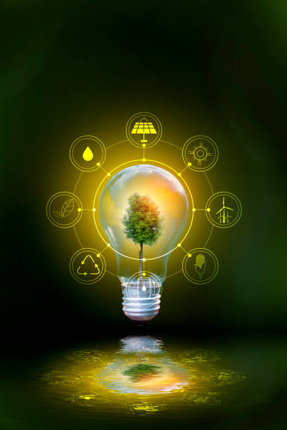 istock Renewable energy concept Earth Day or environment protection Hands protect forests that grow on the ground and help save the world. 1303974215