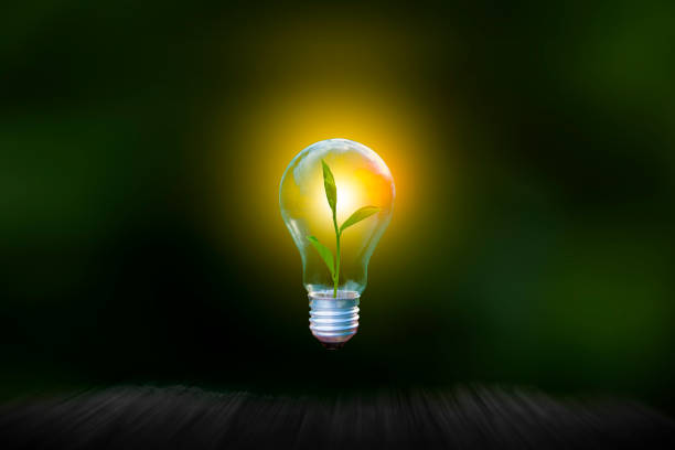 istock Renewable energy concept Earth Day or environment protection Hands protect forests that grow on the ground and help save the world. 1303974225