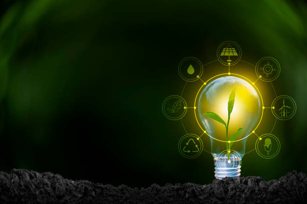 istock Renewable energy concept Earth Day or environment protection Hands protect forests that grow on the ground and help save the world. 1303974230