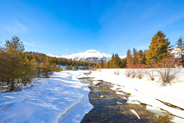 istock Small stream during the spring thaw in the high mountains 1303975479