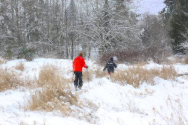istock Cross country skiing 1303977689