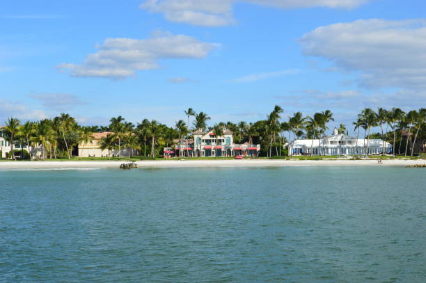 istock Coastline of Naples Florida 1303977935