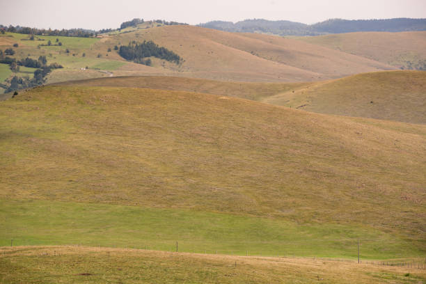 istock Pastures on hilly landscape in Serbia 1303978650