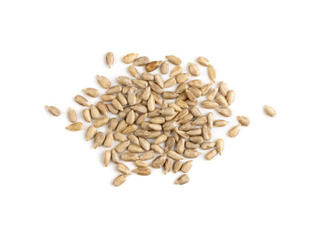 istock Pile sunflower seeds isolated on white background top view 1303981448
