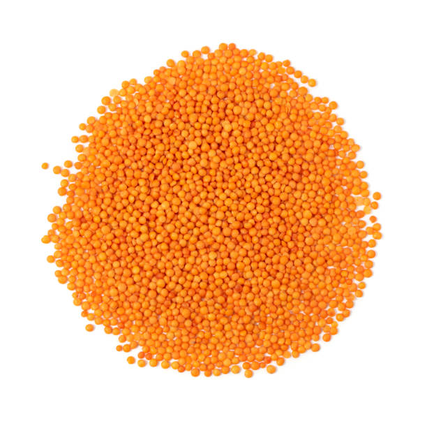 istock Raw Dry Lentils, Lentil Grains, Dal, Daal, Dhal, Masoor 1303981544