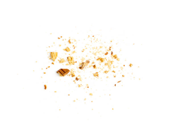 istock Crumbled Chocolate Chip Biscuits, Broken Butter Cookies 1303984804