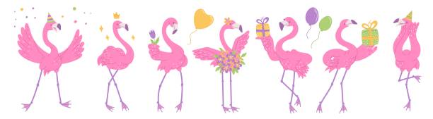 симпатичные розовые фламинго празднуют день рождения. африканские персонажи птиц мультфильм плоские иллюстрации изолированы на белом фон - party hat hat variation isolated stock illustrations