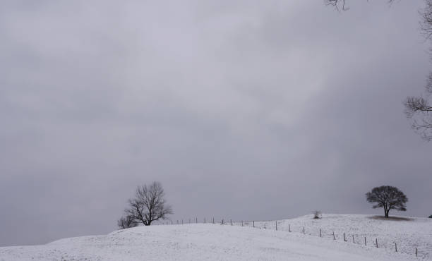 istock Scenic view of a winter landscape 1303989762