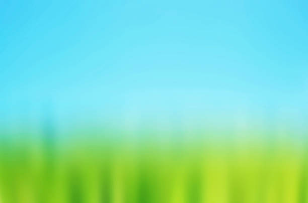 istock Abstract blurred beautiful green nature with blue sky 1303990848
