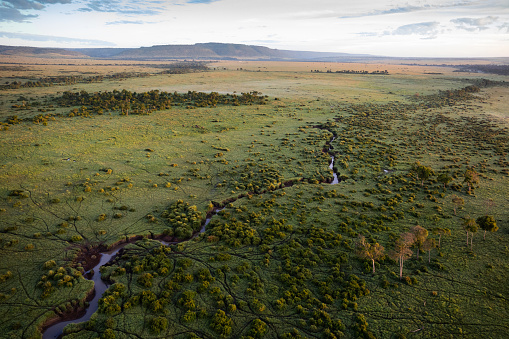 An aerial view of the Maasai Mara in Kenya. The picture was taken from a hot air balloon.